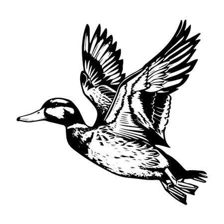 This elegant illustration showcases a flying duck in silhouette, emphasizing the beauty of nature and the freedom of flight.のイラスト素材