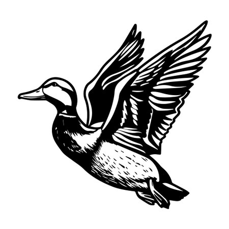 This striking illustration captures a duck flying gracefully with detailed wings, representing freedom and elegance in nature's beauty.のイラスト素材