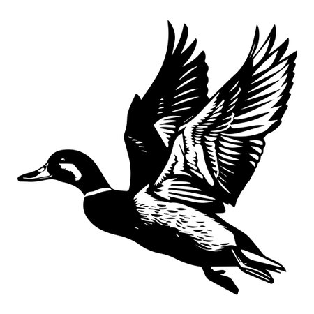 Stunning black and white silhouette of a duck in mid-flight, perfect for creative projects, nature themes, or wildlife illustrations.のイラスト素材