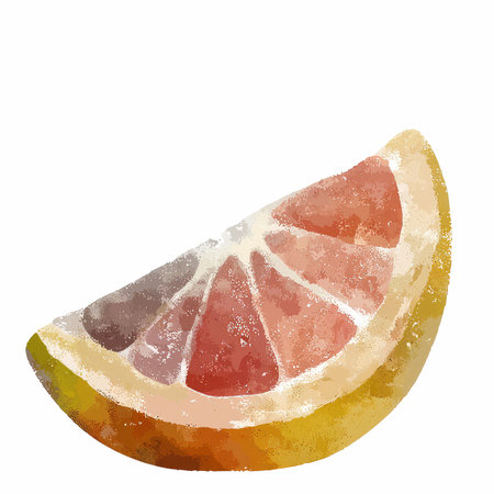 Grapefruit slice on a white background. Watercolor illustration.の写真素材