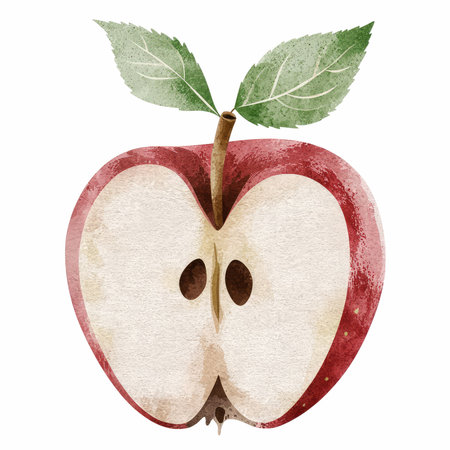 Watercolor illustration of red apple. Isolated on white background.の写真素材