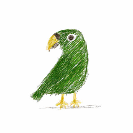 Hand drawn green parrot isolated on white background. Vector illustration.の写真素材