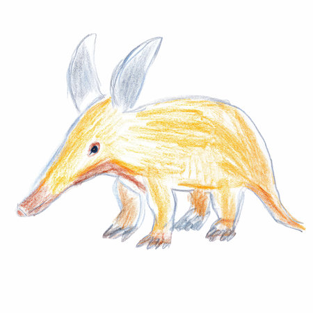 watercolor drawing of an armadillo, isolated on white backgroundの写真素材