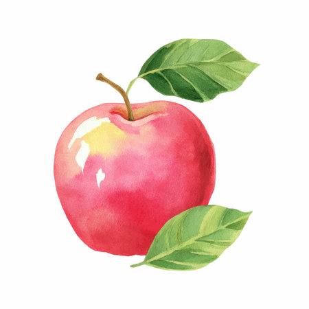This vibrant watercolor illustration features a red apple with green leaves, perfect for use in designs, marketing, and educational materials.の写真素材