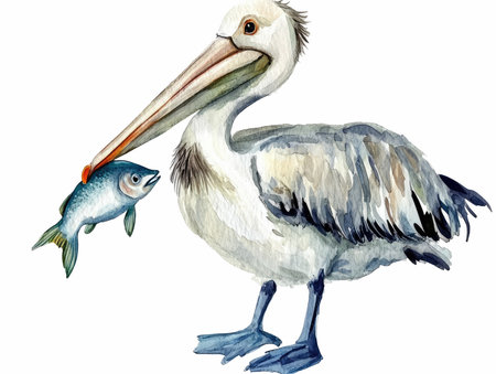 Illustration of a pelican with a fish on a white backgroundの写真素材