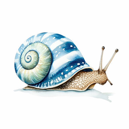 Watercolor snail isolated on white background. Hand drawn vector illustration.の写真素材
