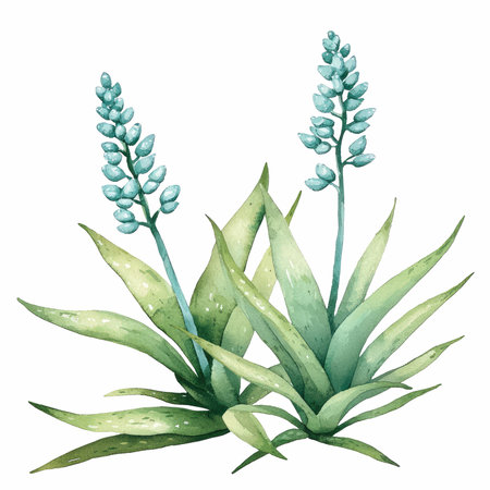 Beautiful vector image with nice watercolor hand drawn agave plantの写真素材