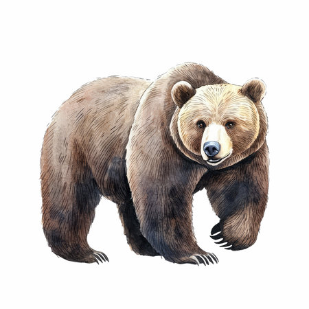 Grizzly bear isolated on white background. Watercolor hand drawn illustrationの写真素材
