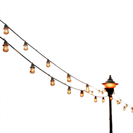 Explore the charm of isolated bistro lighting with warm hanging bulbs, perfect for creating a cozy...