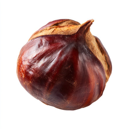 This high-quality isolated image showcases a roasted chestnut, perfect for culinary presentations and food styling. Ideal for seasonal recipes and autumn-themed projects.の写真素材