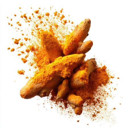 Discover the vibrant turmeric root combined with its rich ground powder, ideal for culinary and health applications. Perfect for recipes and wellness.の写真素材