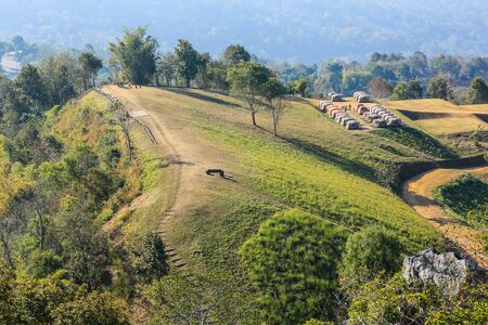 Camp site on the mountain - Doy Samur Dow, Nan, Thailandの写真素材