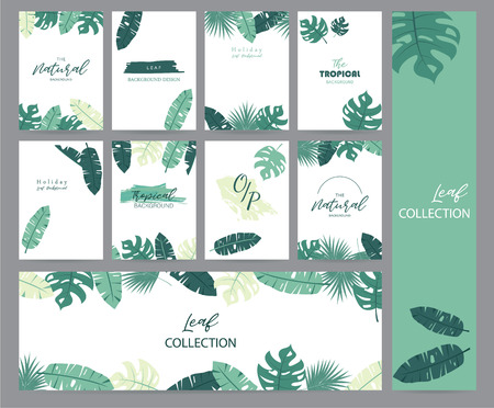 Green tropical greeting card with palm, coconut tree and banana leafのイラスト素材