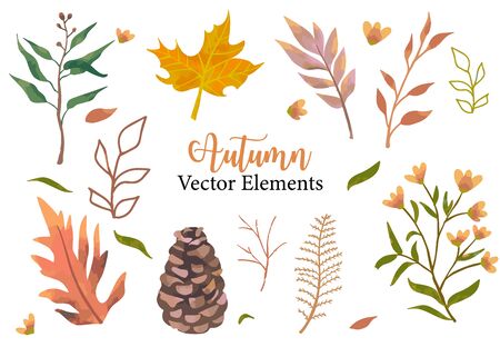 Autumn object set with dry tree,flower,acorn,leaves.Illustration for sticker,postcard,invitation,element websiteのイラスト素材