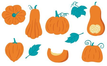 Cute pumpkin object collection.Whole, cut in half, sliced on pieces pumpkin. Vector illustration for icon, sticker,printableのイラスト素材
