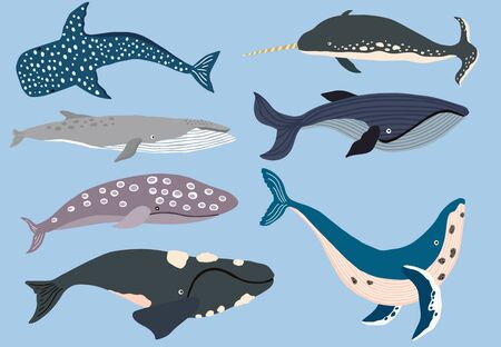 Simple whale character. Vector illustration character doodle cartoonのイラスト素材