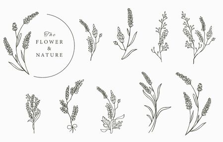 Black flower logo collection with leaves,geometric.Vector illustration for icon,logo,sticker,printable and tattooのイラスト素材