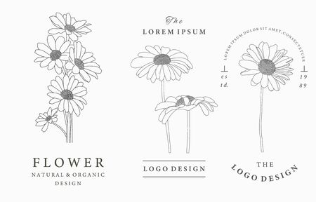 Black flower logo collection with sunflower,leaves,geometric.Vector illustration for icon,logo,sticker,printable and tattooのイラスト素材