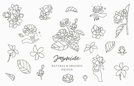 Black Jasmine logo collection with leaves.Vector illustration for icon,logo,sticker,printable and tattooのイラスト素材
