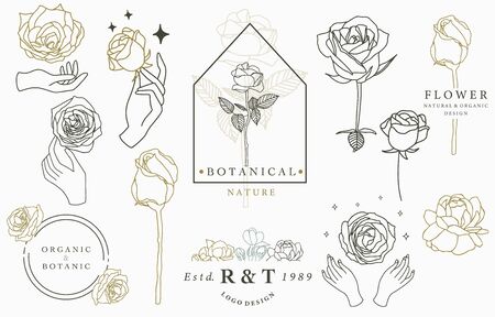rose logo collection with leaves,geometric,circle,square frame.Vector illustration for icon,logo,sticker,printable and tattooのイラスト素材