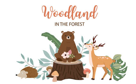 Collection of woodland background set with leaf,flower,animal.Editable vector illustration for website, invitation,postcard and posterのイラスト素材