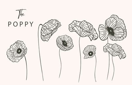 Black poppy flower outline.Vector illustration for icon,sticker,printable and tattooのイラスト素材