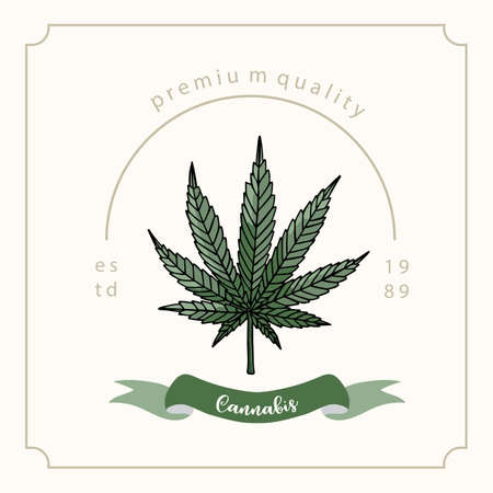 Collection of green cannabis backgroundのイラスト素材