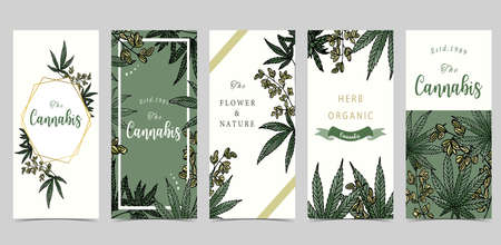Collection of green cannabis backgroundのイラスト素材