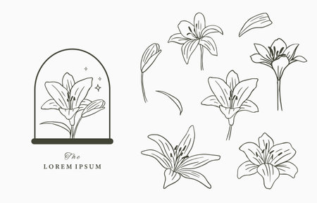 Beauty occult icon collection with hand,geometric,flowerのイラスト素材