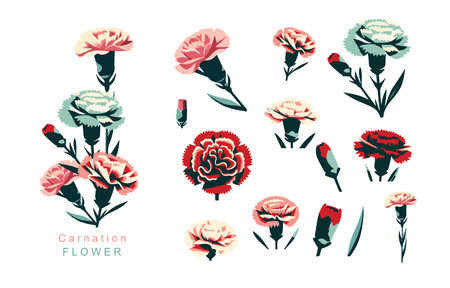 carnation object element.use for mother's day designのイラスト素材