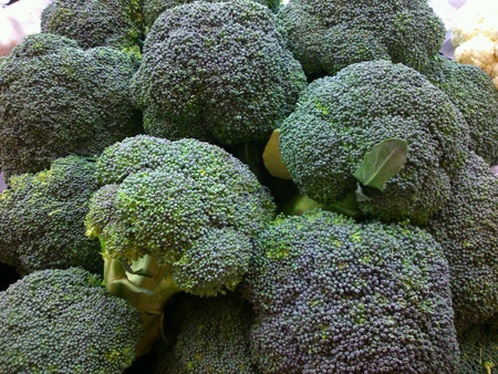 Closeup of fresh broccoli