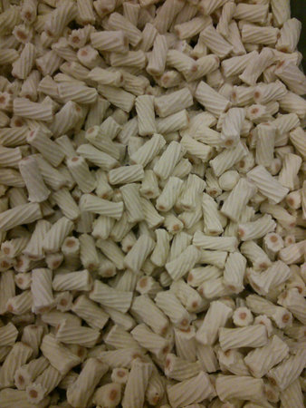 Closeup of fresh squid rollsの素材