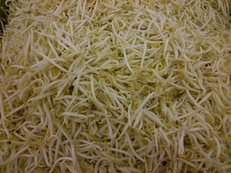 Closeup of fresh cleaned bean sproutsの素材