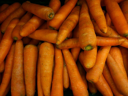 A pile of fresh carrotsの素材