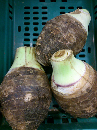 A pile of fresh yam beansの素材