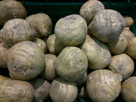 A pile of fresh vegetableの素材