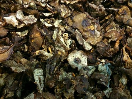 A group of close up asam kepingの素材