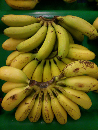 A group of fresh bananasの素材