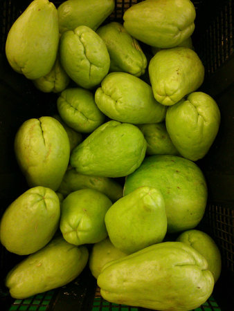 A group of fresh ground bitterの素材