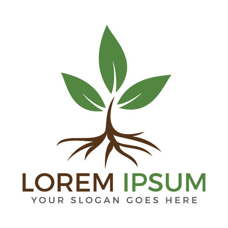 Tree Root and Leaves logo design.のイラスト素材