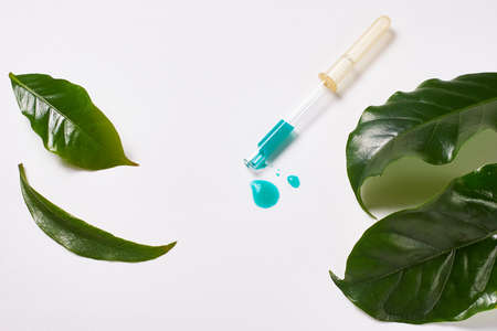 Pipette with green liquid and natural leaves on a white background. Close-up, macro, copy spaceの写真素材