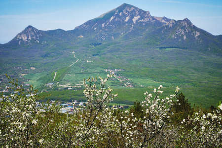Beautiful flowering apple tree branches in spring. Sunny day in the mountainsの写真素材