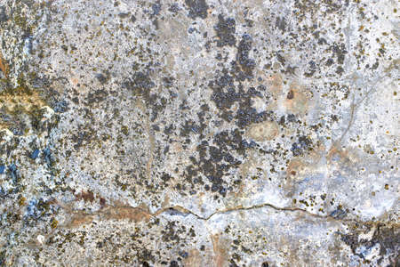 Old rusty moss-covered stone background. Close-up, macro