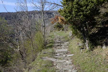 Path in the nature in val di susa