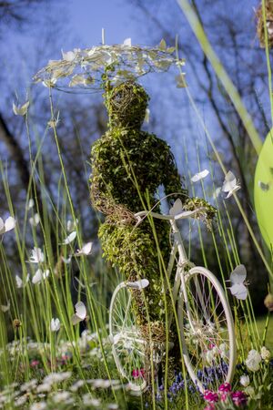 Flowers at the event Messer Tulipano in Piedmontの写真素材