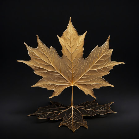 Autumn maple leaf isolated on black background. 3d illustration.の素材