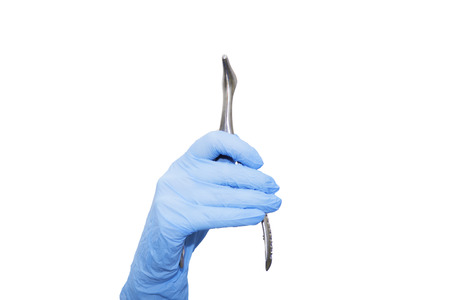 Nasal mirror in the hand in blue glove on white background isolatedの写真素材