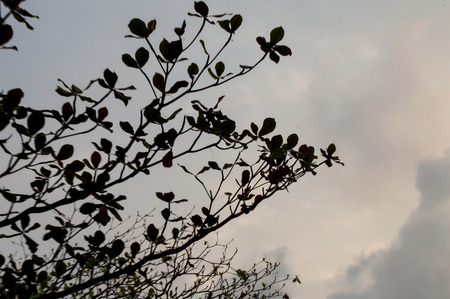 New Day and Weekdaysの写真素材