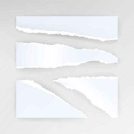 Torn Paper Blank Vector. Set Of Different Shapes Blank Paper Scrapsのイラスト素材