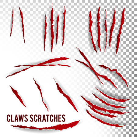 Claws Scratches Vector. Transparent Background. Realistic Illustrationのイラスト素材